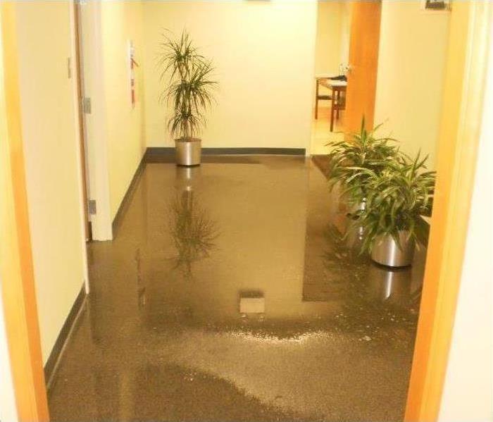 Commercial office building water damaged carpet.